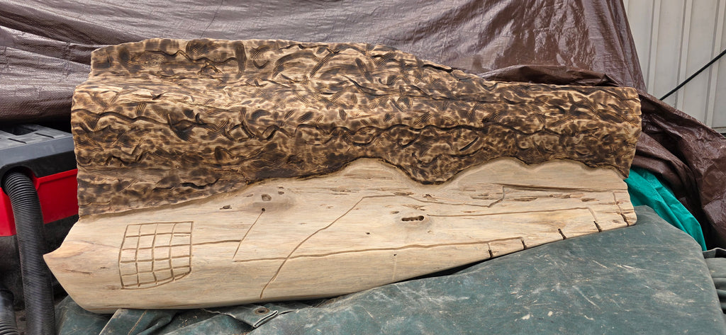Barva Nocturno – Illuminated Pochote Wood Relief
