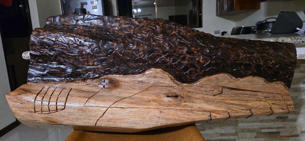 Barva Nocturno – Illuminated Pochote Wood Relief