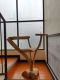 Living Structure – Sculptural Planter