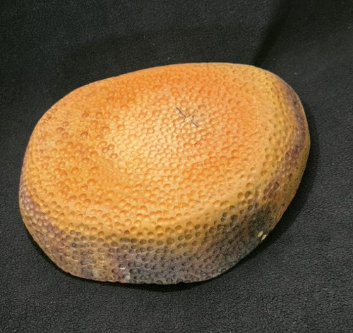 Gowlf (Sculptural Textured Wood Bowl) — MZ-GB-005