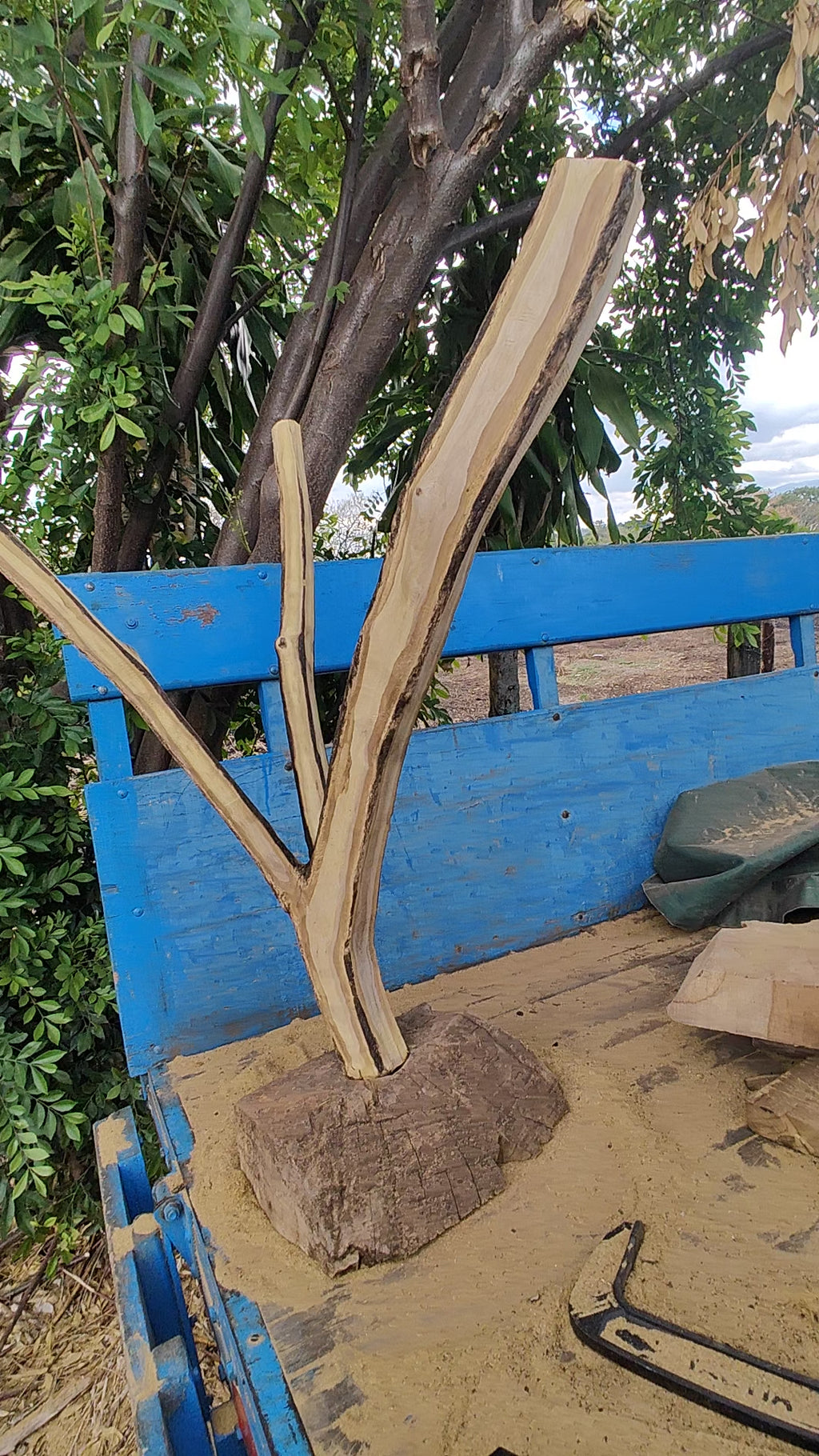 Living Structure – Sculptural Planter