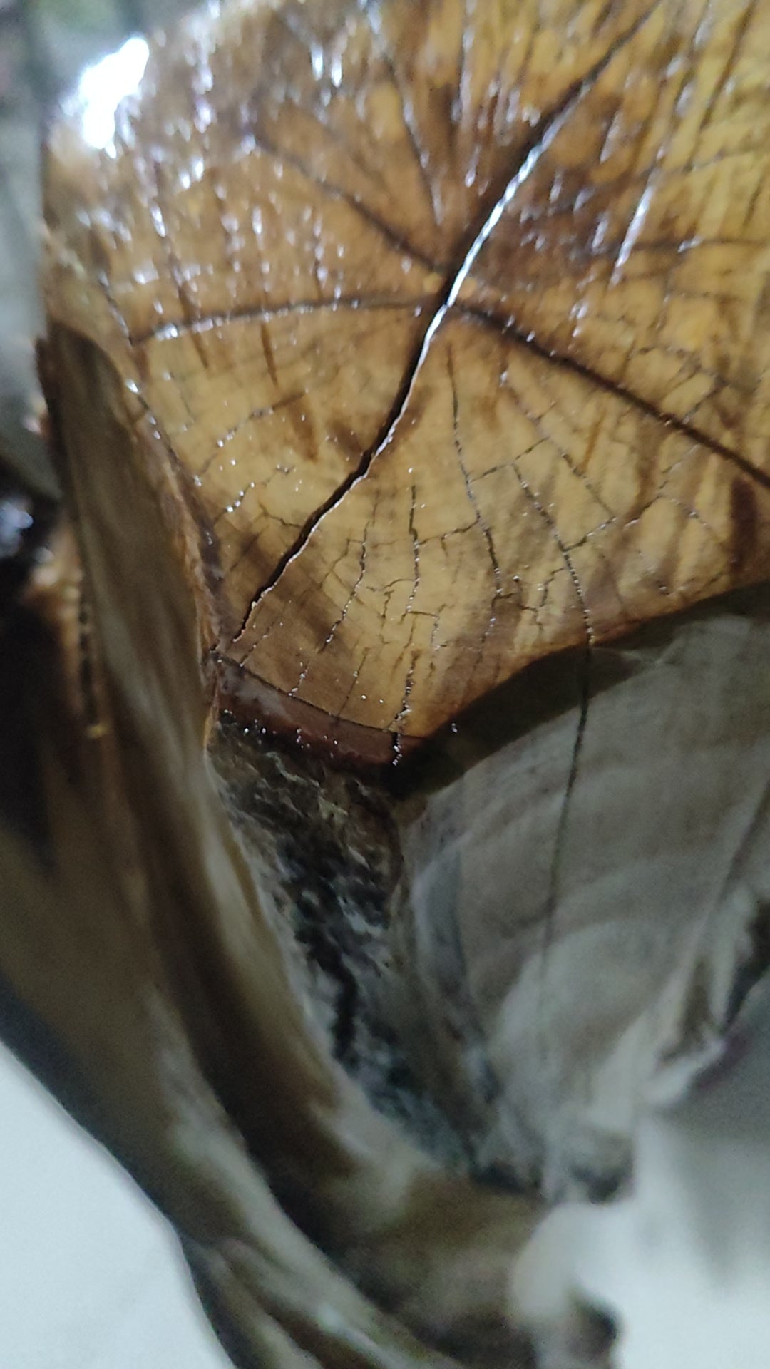 Infinite Screw – Sculptural Wood